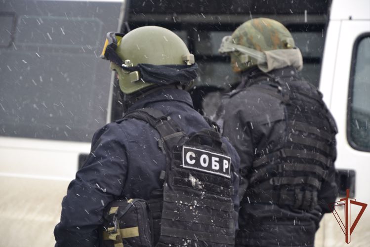 При содействии СОБР Росгвардии в Ингушетии пресечена незаконная рубка леса