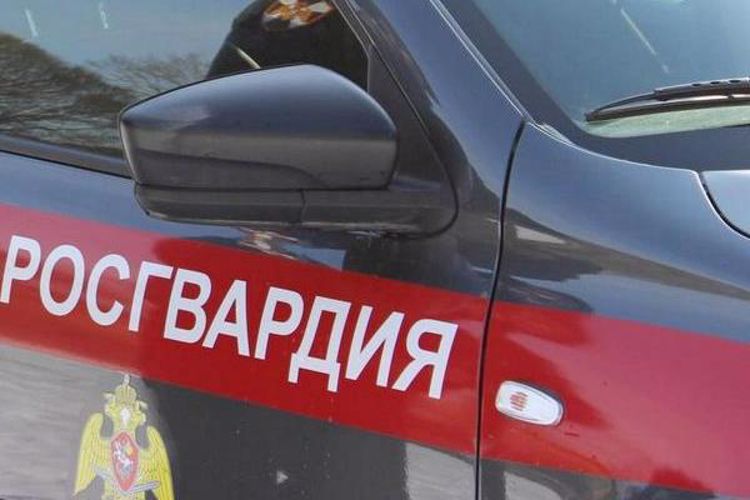 Незаконное проникновение в частный дом пресекли росгвардейцы в Петербурге