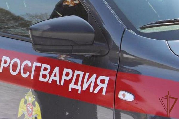Угрожавшего людям топором водителя задержали росгвардейцы в Тамбове