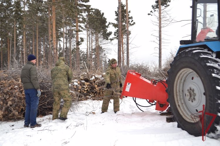 Росгвардейцы восстанавливают лес в Бурятии