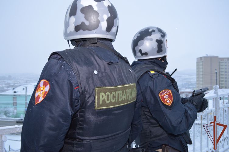 Проникшие в детский образовательный центр хулиганы задержаны сотрудниками Росгвардии в Мурманске 