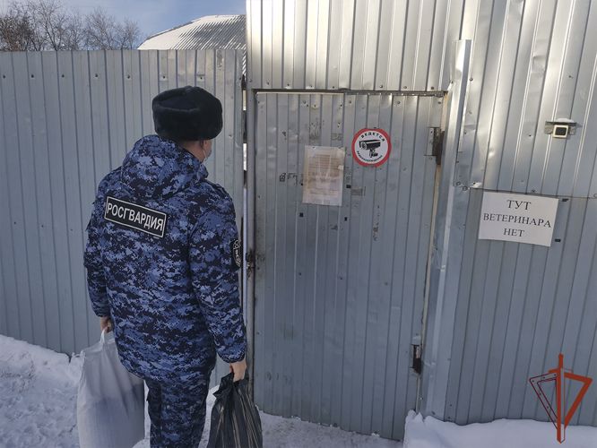 Росгвардейцы продолжают оказывать помощь юргинскому приюту для бездомных животных