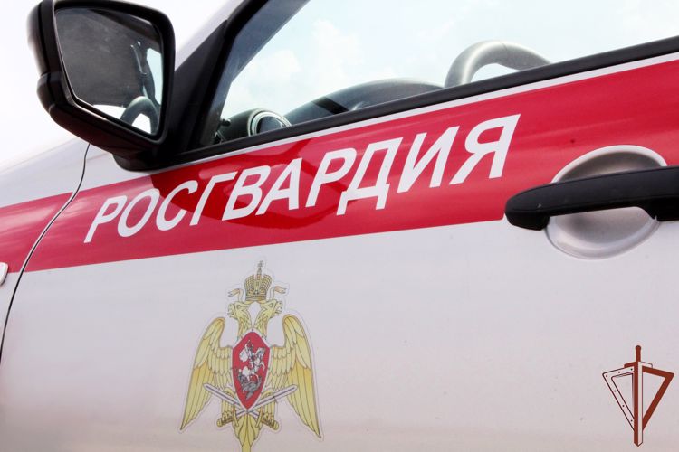 В Ростовской области росгвардейцы потушили загоревшийся автомобиль