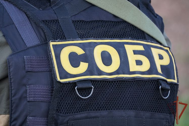 При содействии Росгвардии в Новгороде задержан подозреваемый в нападении на пункт выдачи интернет-заказов