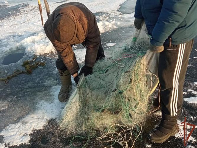 Росгвардия приняла участие в проверках соблюдения экологического законодательства в Алтайском крае