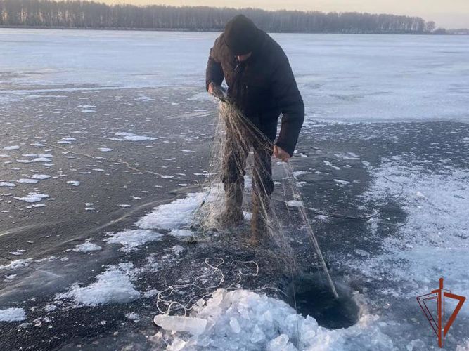 Росгвардия приняла участие в проверках соблюдения экологического законодательства в Алтайском крае
