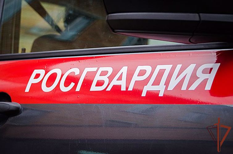 Более 100 правонарушений пресекли росгвардейцы в Югре за неделю 