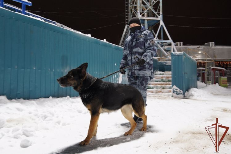 Архангельский ОМОН Росгвардии принял участие в обеспечении правопорядка во время матча по хоккею с мячом