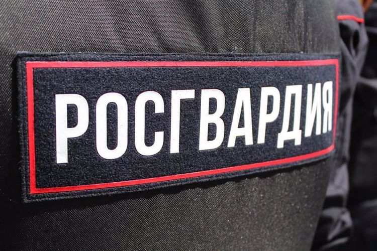 Угрожавшего человеку расправой злоумышленника задержали сотрудники Росгвардии в Вологде