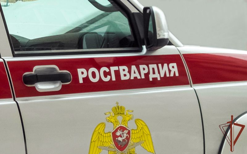 Возгорание автомобиля ликвидировали в Ростове-на-Дону росгвардейцы