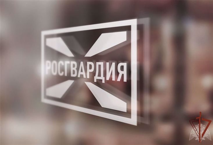 В Черняховске сотрудники Росгвардии задержали  подозреваемого в нанесении ножевого ранения мужчину