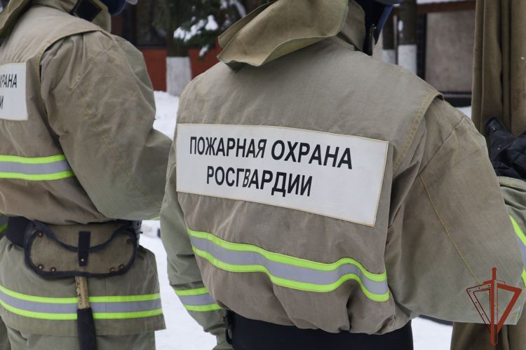 В МОСКВЕ ПРОШЛИ СОВМЕСТНЫЕ ЗАНЯТИЯ СОТРУДНИКОВ РОСГВАРДИИ И МЧС