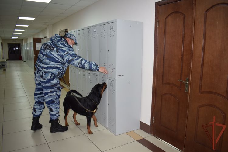 Татарстанские ОМОН отметили свое 17- летие