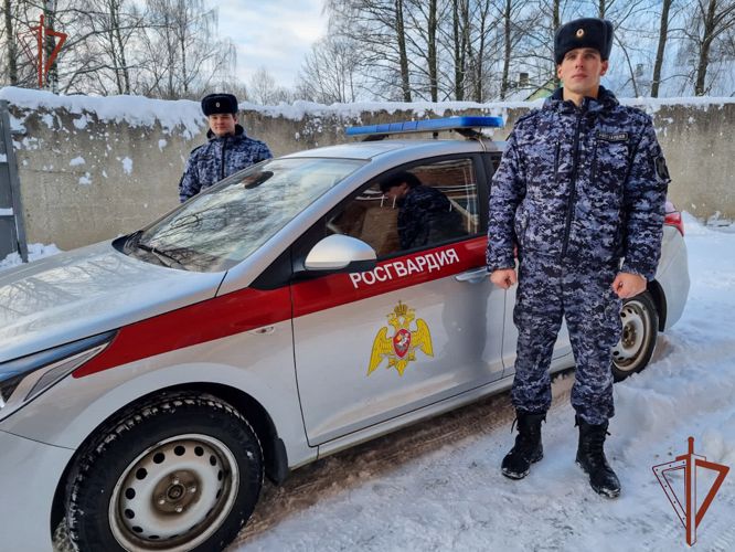 На помощь застрявшей в сугробе в Смоленской области автолюбительнице пришли сотрудники Росгвардии (видео)