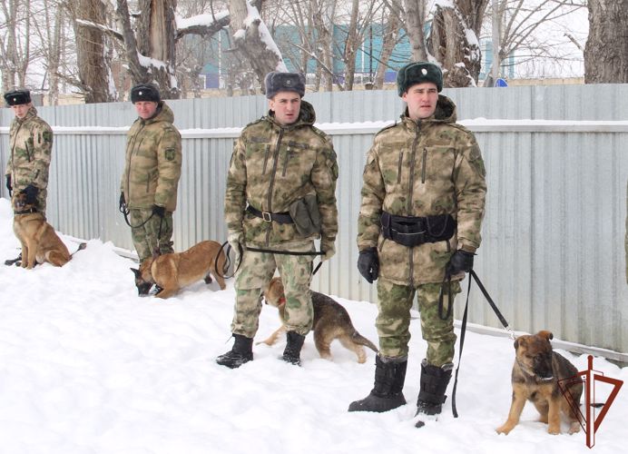 Уральский кинологический центр Росгвардии подвёл итоги своей работы за 2021 год