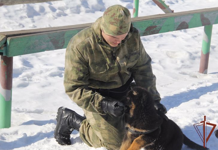 Уральский кинологический центр Росгвардии подвёл итоги своей работы за 2021 год