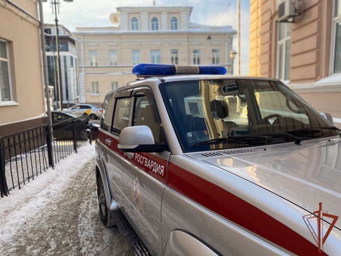 Наряд Росгвардии задержал нетрезвого водителя в Томской области