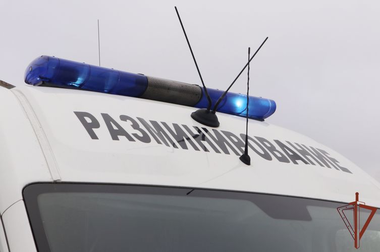 В аэропорту «Пулково» взрывотехники ОМОН обследовали подозрительный предмет, обнаруженный при досмотре багажа