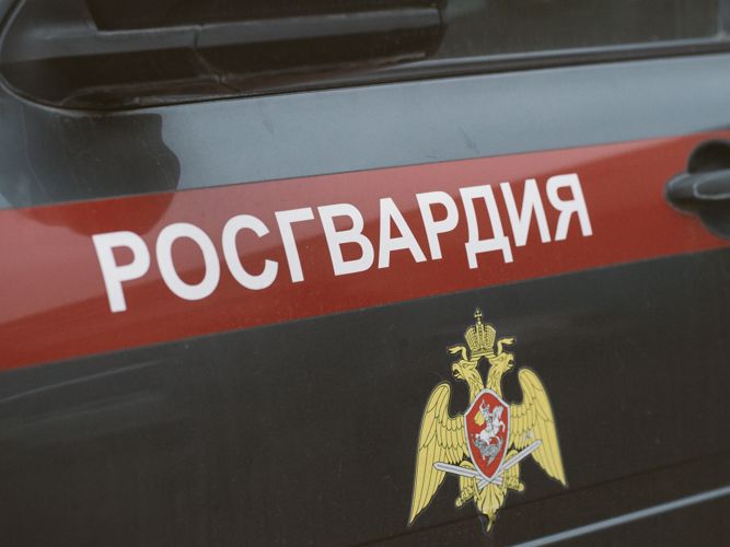 Патруль Росгвардии задержал проникшего на территорию дошкольного учреждения мужчину 