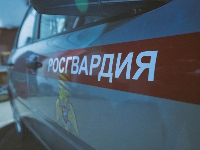 Сотрудники Росгвардии задержали нетрезвого водителя в Томской области
