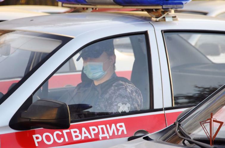 Более 200 подозреваемых в совершении преступлений задержали росгвардейцы в период новогодних праздников в ЦФО