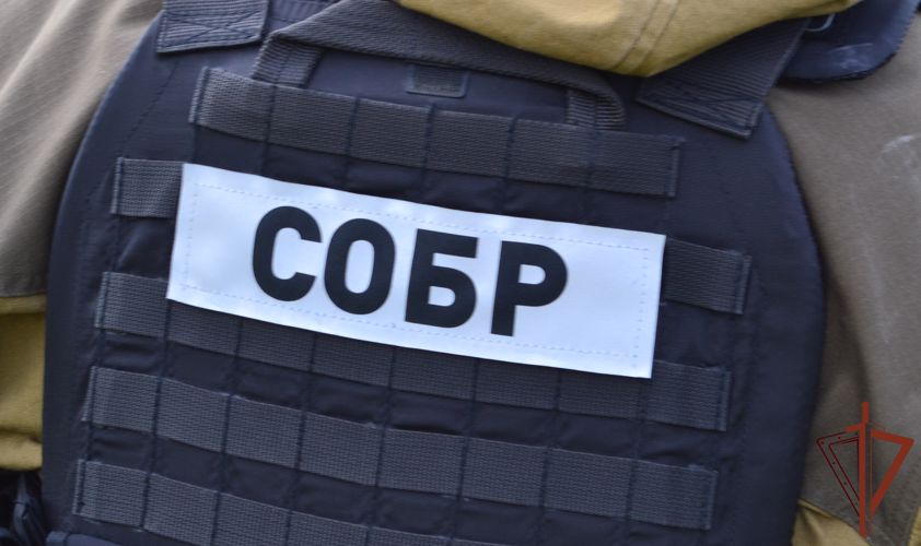 При участии СОБР Росгвардии проведены обыски у подозреваемых в незаконном изготовлении и обороте порнографии