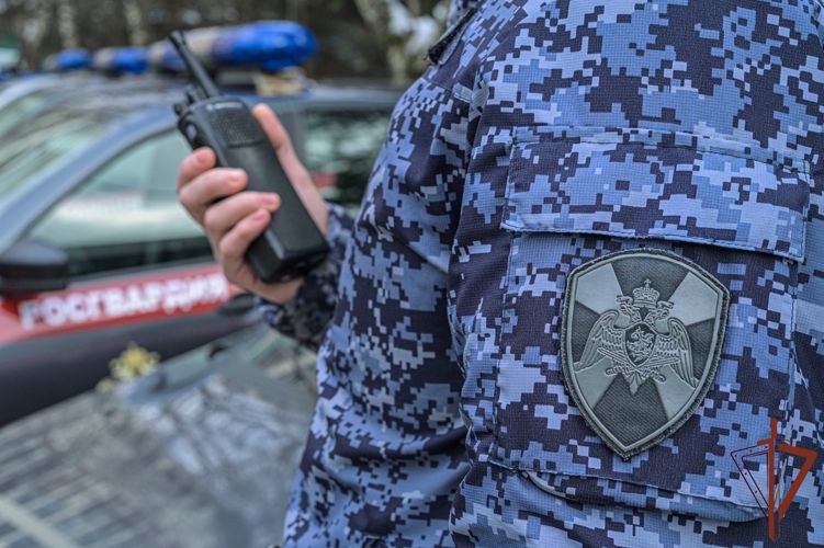 Пропавших детей разыскали сотрудники Росгвардии в Новосибирске 