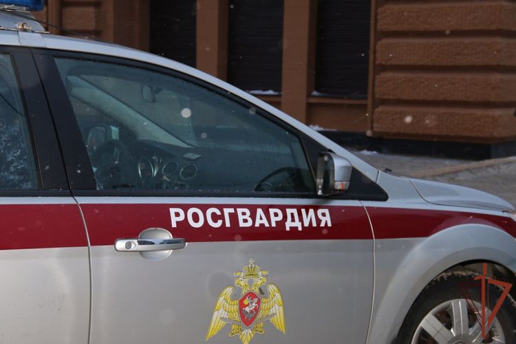 Сотрудники Росгвардии пресекли факт управления автомобилем в нетрезвом виде в Пензенской области