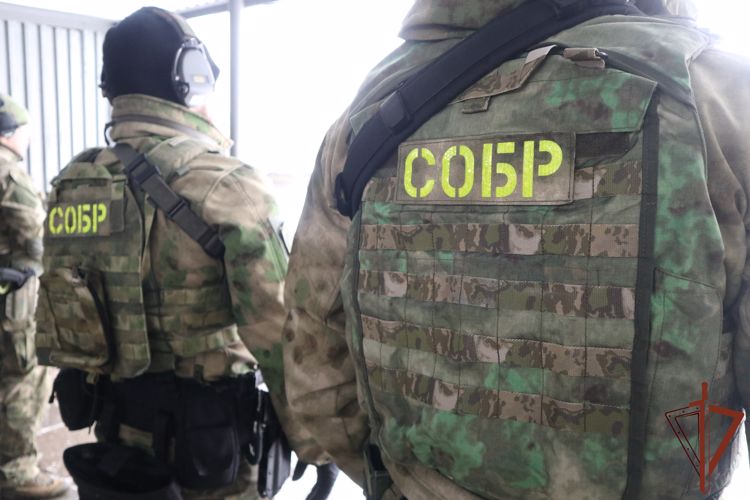 При содействии Росгвардии в Подмосковье задержаны подозреваемые в разбойном нападении 