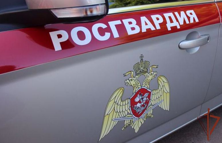Сотрудники Росгвардии обеспечивают общественную безопасность на улицах Тюмени, где произошло отключение электроснабжения