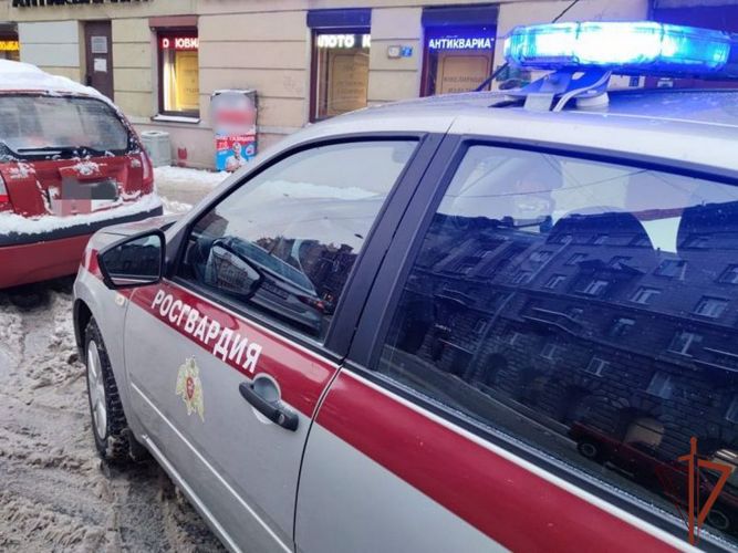  Патруль Росгвардии задержал мошенника в Рубцовске