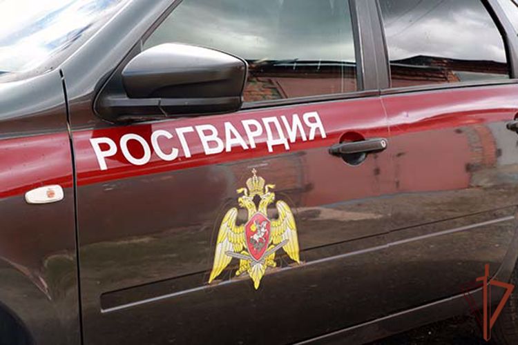 В Мордовии росгвардейцы за сутки пресекли три факта управления автомобилем в нетрезвом виде