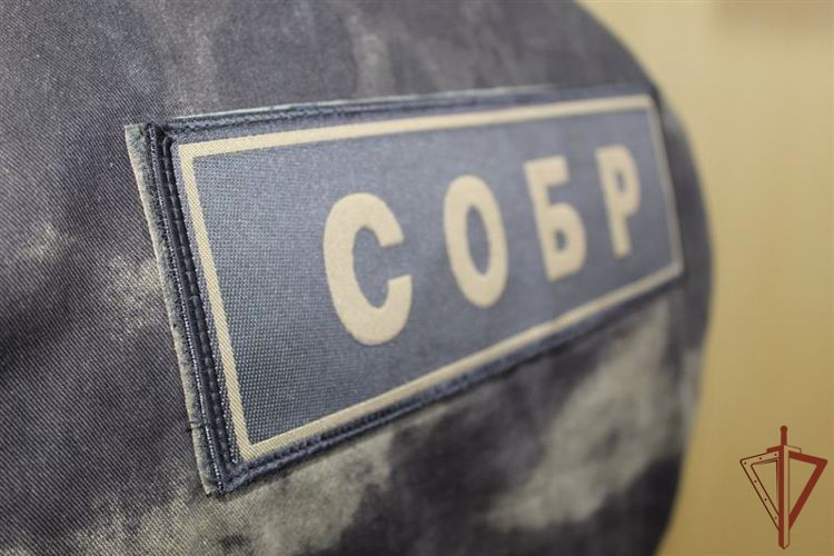 При содействии СОБР «Столица» задержаны подозреваемые в грабеже