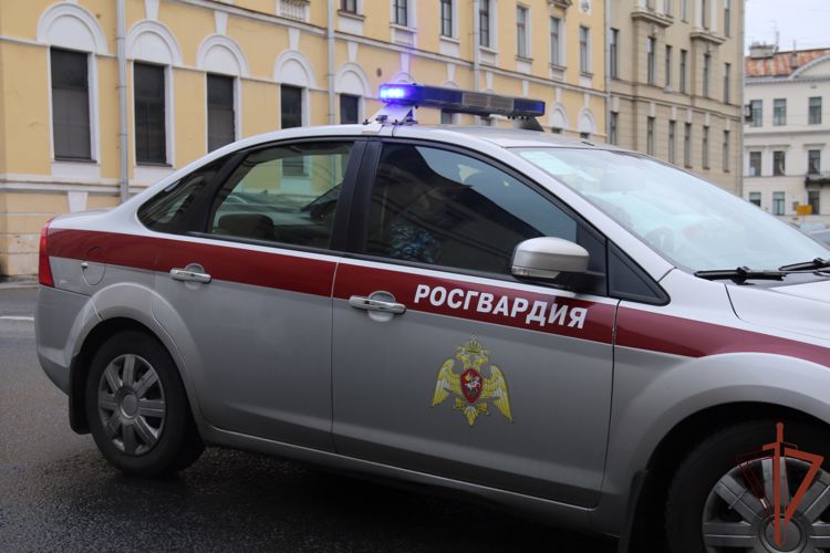 Напавший на врача «скорой» злоумышленник задержан нарядом Росгвардии в Петербурге