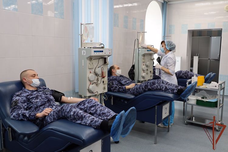 В преддверии профессионального праздника росгвардейцы приняли участие в донорской акции  (видео)