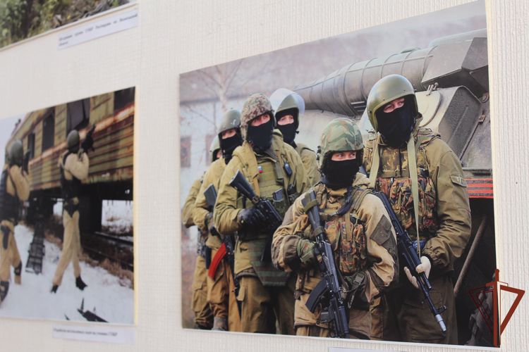 Фотовыставка ко Дню Росгвардии открылась в Вологде 
