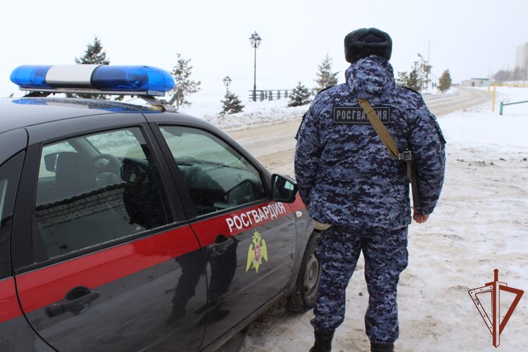 Нарядом Росгвардии в Саратове пресечен факт незаконного оборота наркотических средств в крупном размере