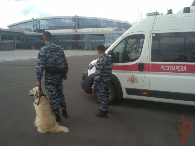 Росгвардия приняла участие в обеспечении безопасности первого Всероссийского турнира по художественной гимнастике "Ты можешь сам" 