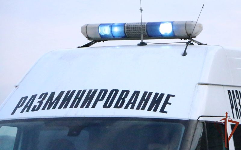 Взрывотехники ОМОН Росгвардии обезвредили в Петербурге гранату времен войны