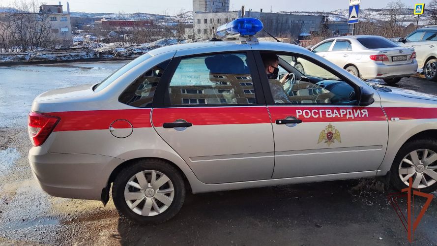 В Мурманске росгвардейцы задержали нетрезвого водителя