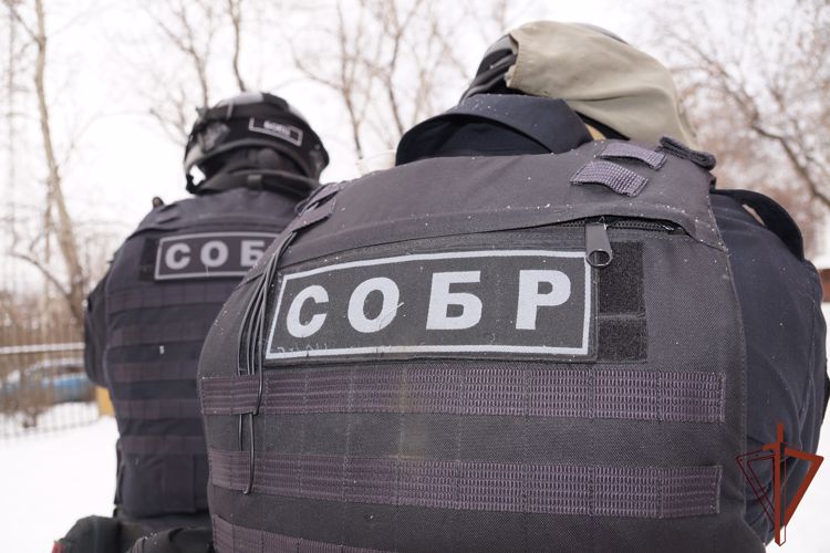 Росгвардия помогла пресечь незаконную лесозаготовку в Иркутской области 