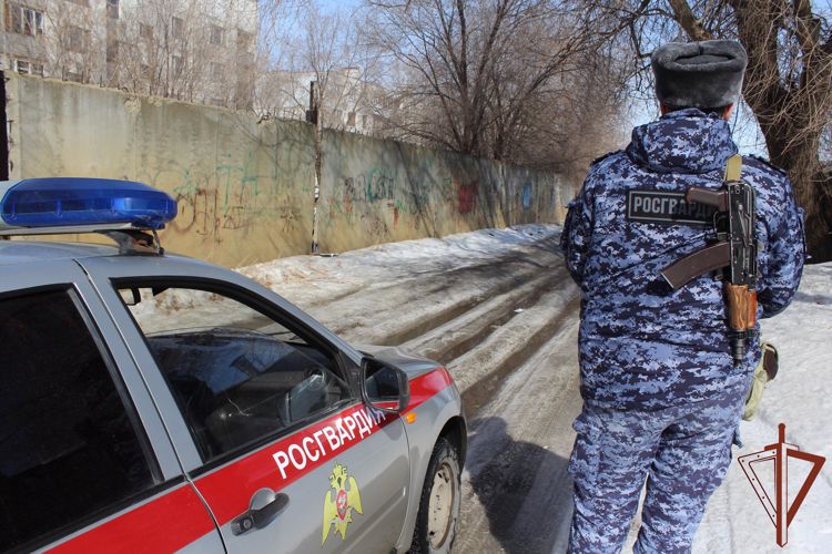 Открывшего стрельбу в парикмахерской мужчину задержал наряд Росгвардии в Саратовской области