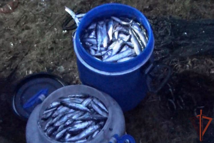 При участии архангельского СОБР пресечен незаконный вылов водных биологических ресурсов