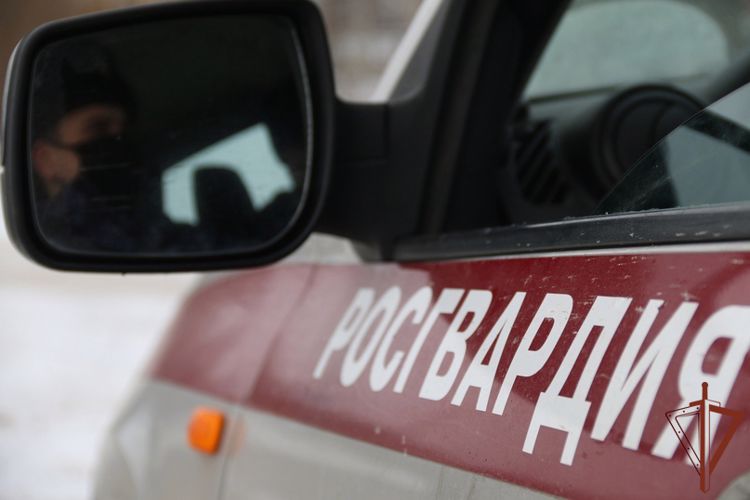 При содействии спецназа Росгвардии в Удмуртии пресечена незаконная торговля спиртосодержащей продукцией