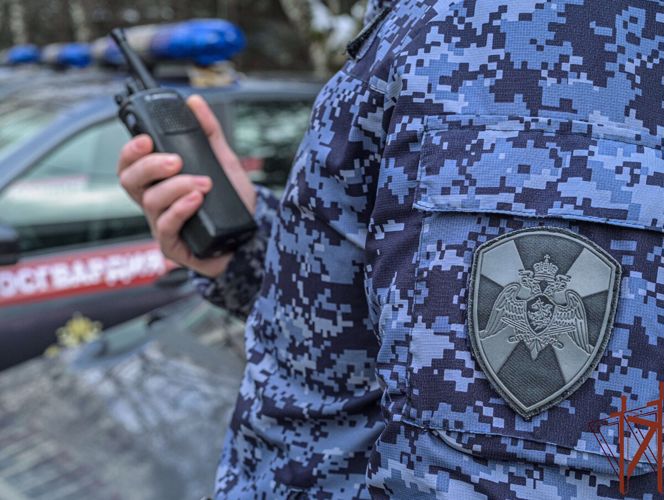 Патруль Росгвардии пресек опасное вождение водителя с признаками опьянения в Красноярском крае