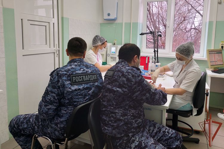 Росгвардейцы за день сдали около 20 литров крови для пациентов кубанских больниц (видео)