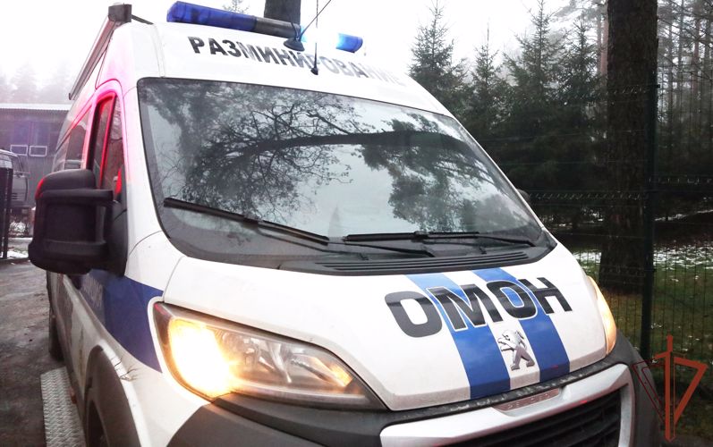  Взрывотехники ОМОН Росгвардии в Санкт-Петербурге обследовали боеприпасы времён Великой Отечественной войны