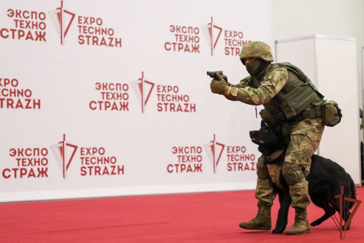 Секреты подготовки служебных собак раскрыли кинологи Росгвардии в Петербурге 