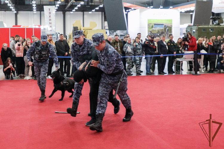 Секреты подготовки служебных собак раскрыли кинологи Росгвардии в Петербурге 