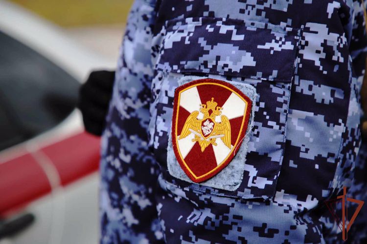 Росгвардейцы оказали содействие ГИБДД в задержании пьяного водителя в Мордовии